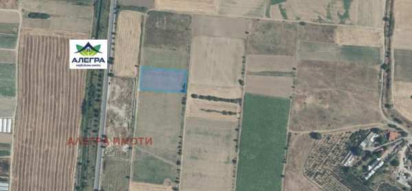 Продава земеделска земя, с. ивайло, област пазарджик