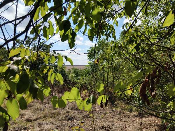 Продава парцел, с. ново село, област русе