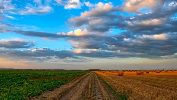 Продава земеделска земя, с. бяла река, област пловдив