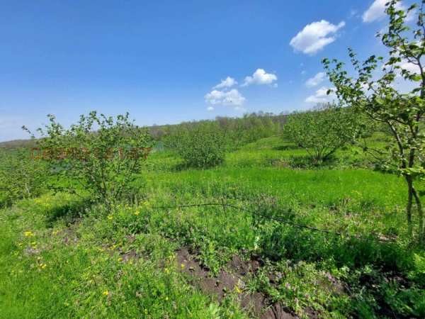 Продава земеделска земя, с. драчево, област бургас