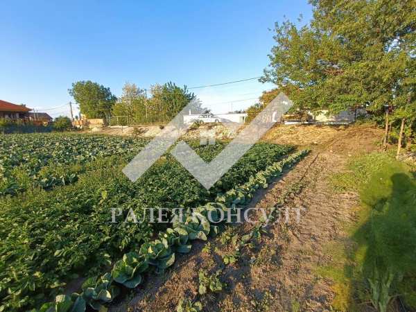 Продава парцел, с. маноле, област пловдив