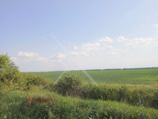 Продава парцел, с. момино село, област пловдив