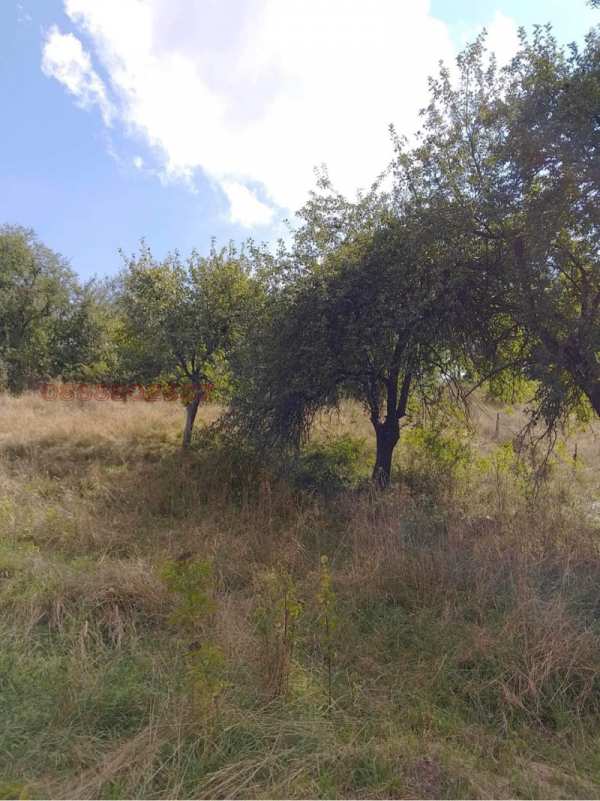 Продава  парцел с. Гинци, област София
      1332 кв.м