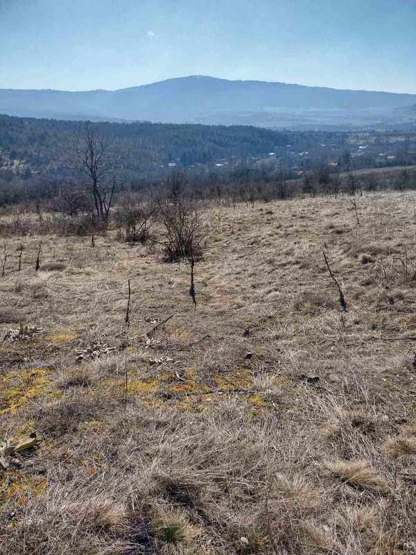 Продава парцел, с. горна диканя, област перник