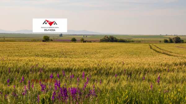 Продава земеделска земя, с. голям чардак, област пловдив