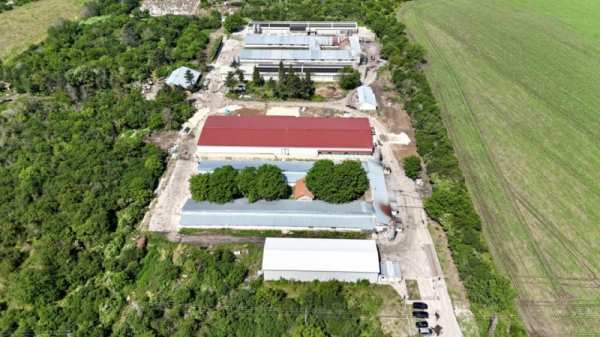 Продава бизнес имот, с. борисово, област русе