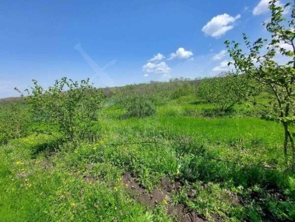 Продава парцел, с. драчево, област бургас