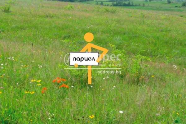Продава земеделска земя, с. желязно, област пловдив