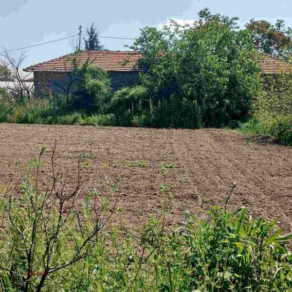 Продава парцел, с. скутаре, област пловдив