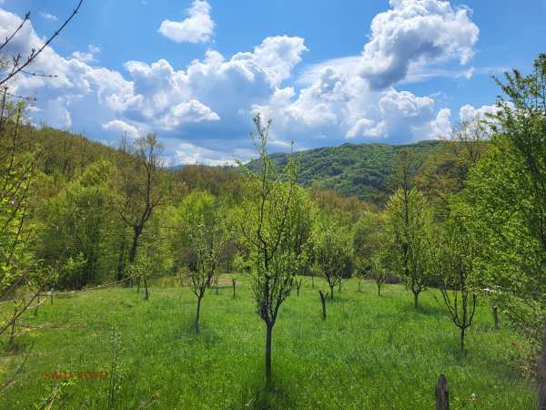 Продава парцел, гр. троян, област ловеч