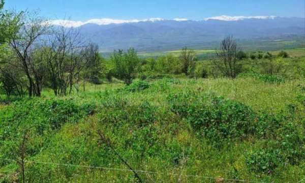 Продава парцел, с. горна василица, област софия област