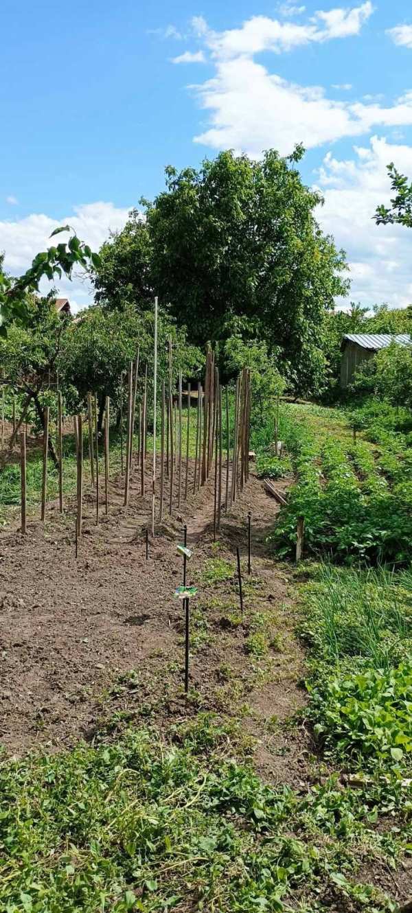 Продава парцел, с. лесново, област софия област