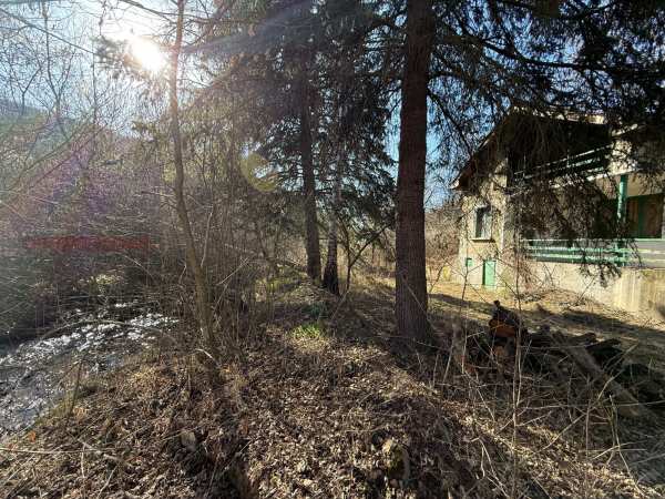 Продава вила, гр. драгоман, област софия област