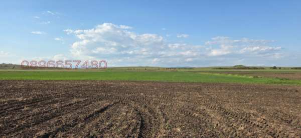 Продава земеделска земя, с. болярино, област пловдив