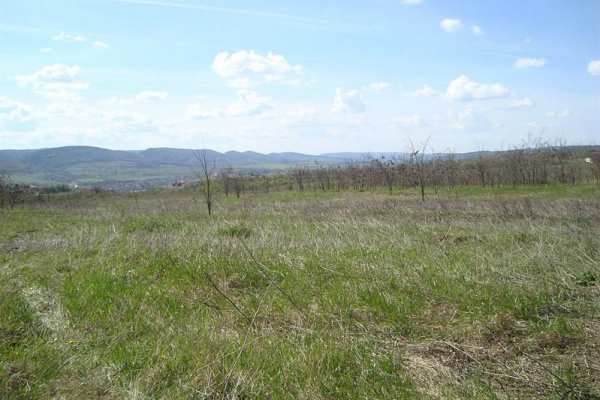 Продава парцел, с. леденик, област велико търново
