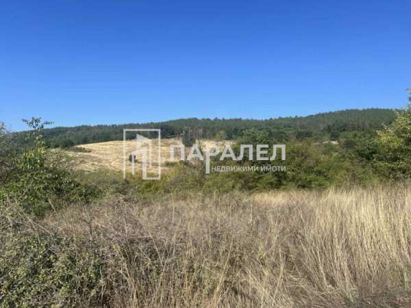 Продава  парцел с. Пряпорец, област Стара Загора
      1056 кв.м