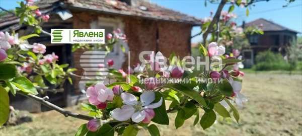 Продава къща, с. фазаново, област бургас
