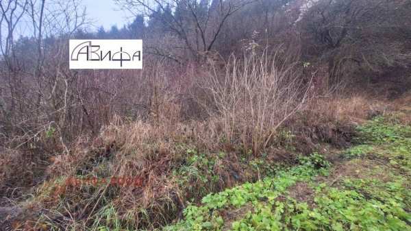 Продава парцел, с. голема раковица, област софия област