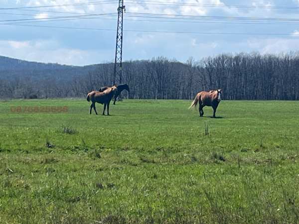 Продава парцел, гр. ахтопол, област бургас