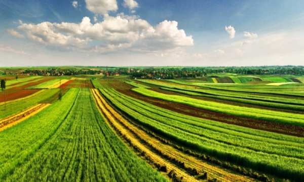 Продава земеделска земя, с. градина, област пловдив