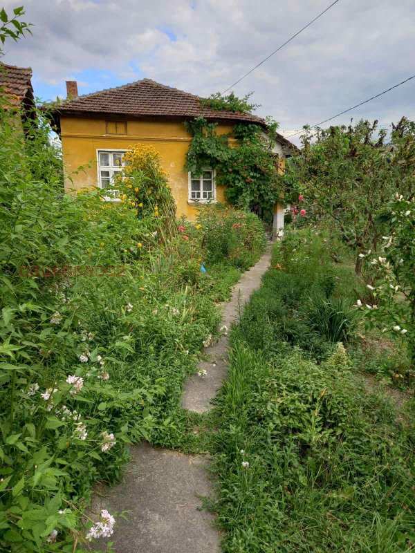 Продава къща, гр. пирдоп, област софия област