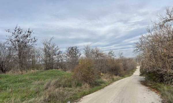 Продава парцел, с. чешнегирово, област пловдив
