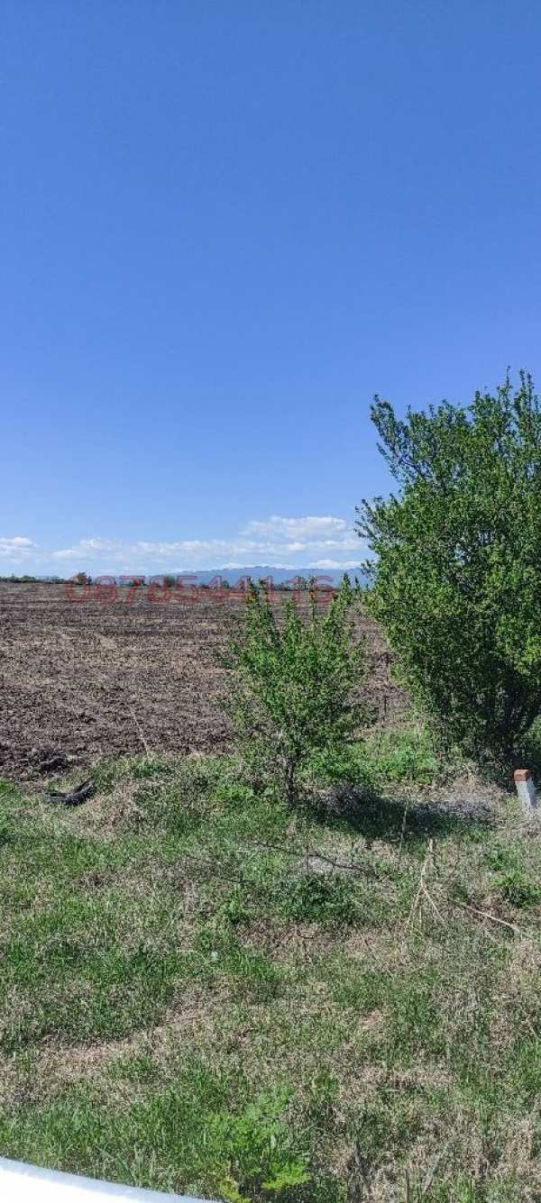 Продава земеделска земя, с. черничево, област пловдив
