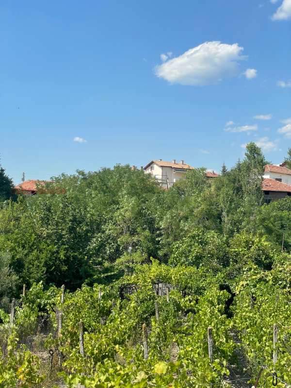 Продава парцел, с. струмяни, област благоевград