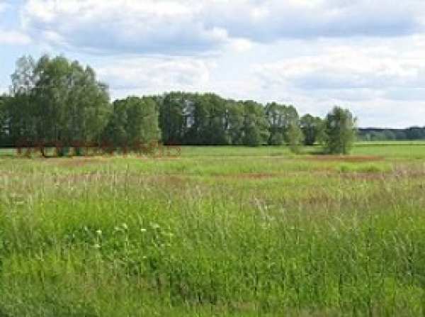 Продава земеделска земя, с. бошуля, област пазарджик