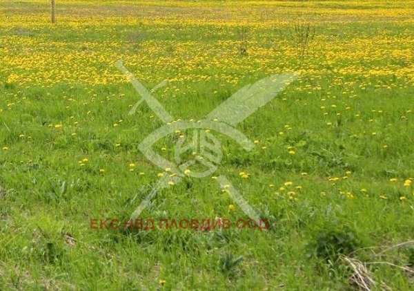 Продава парцел, с. царацово, област пловдив