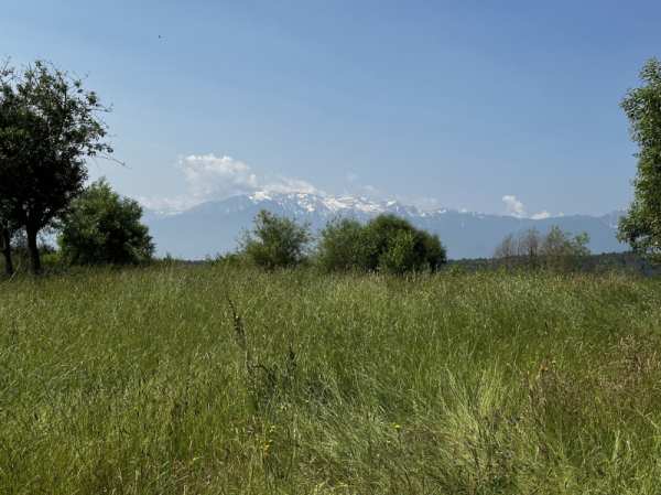 Продава парцел, с. добърско, област благоевград