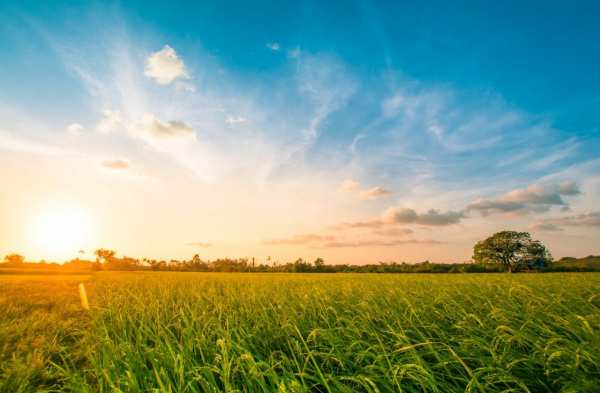 Продава земеделска земя, гр. хисаря, област пловдив