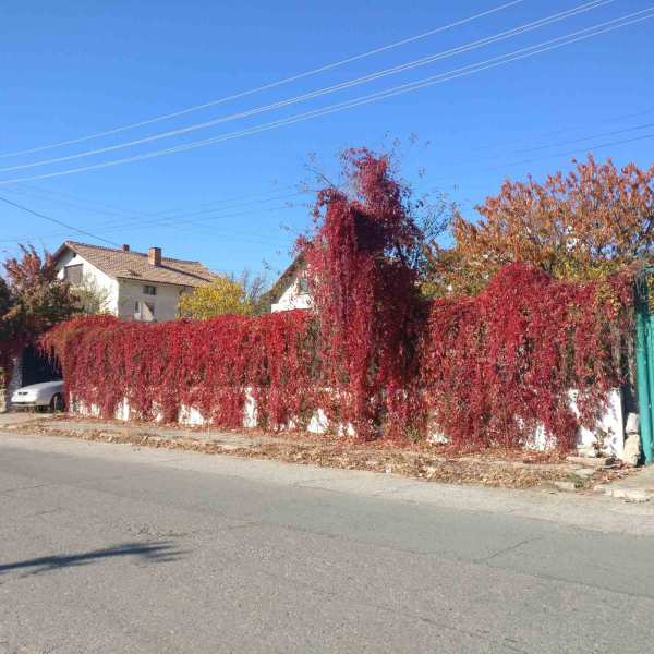 Продава къща, гр. мъглиж, област стара загора