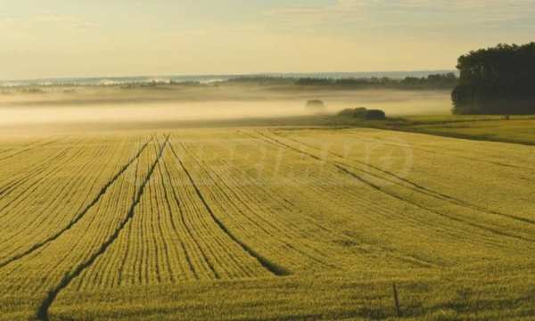 Продава парцел, гр. малко търново, област бургас