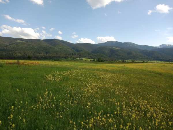 Продава земеделска земя, с. говедарци, област софия област