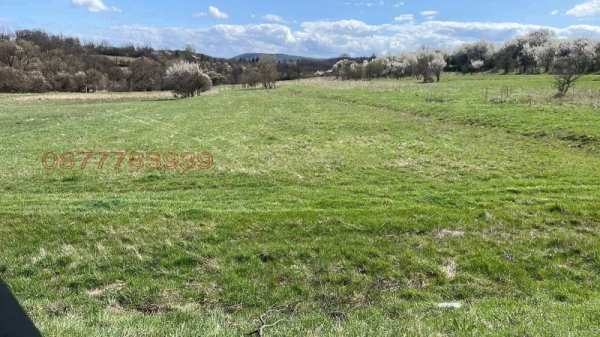 Продава  парцел с. Дръмша, област София
      3004 кв.м