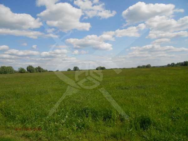 Продава парцел, с. бенковски, област пловдив