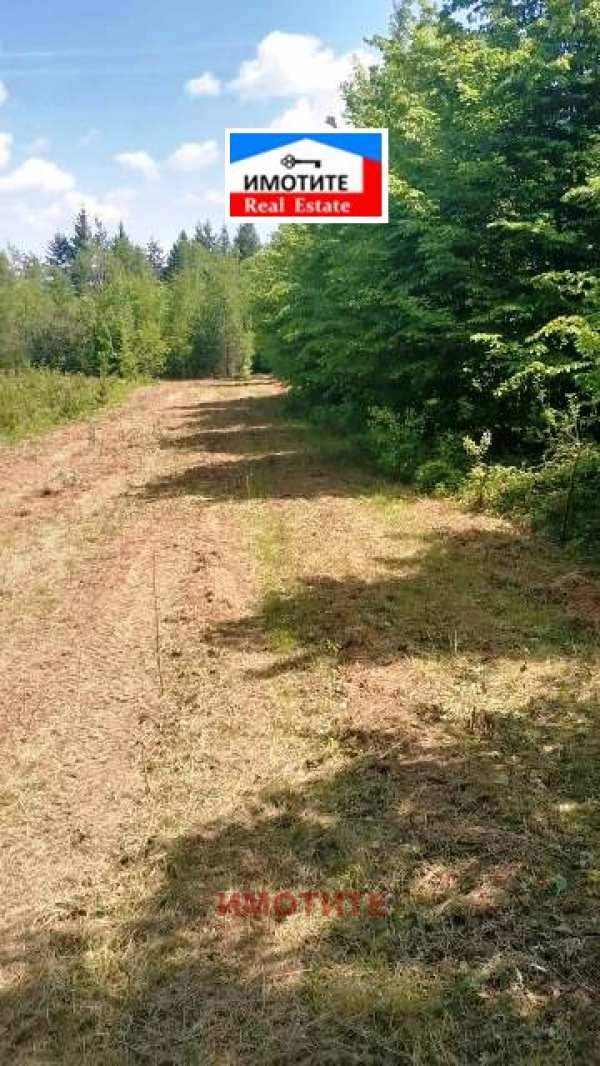 Продава парцел, гр. вършец, област монтана