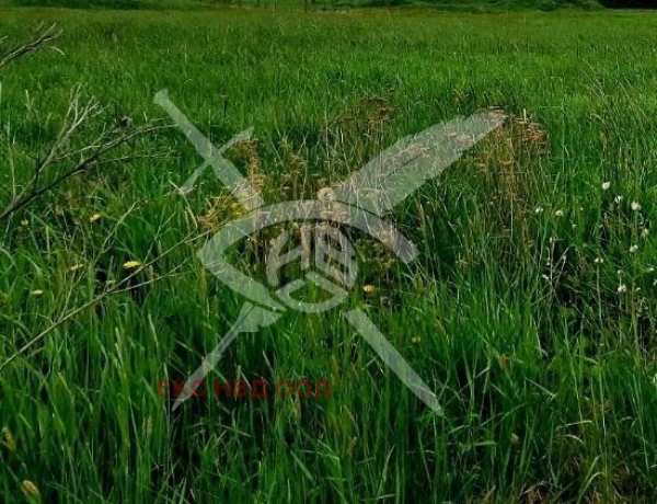 Продава парцел, с. черничево, област пловдив