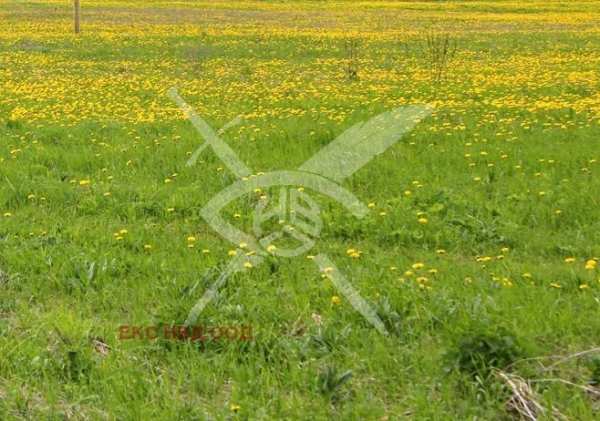 Продава парцел, с. крумово, област пловдив