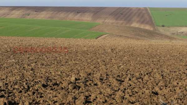 Продава земеделска земя, с. ряхово, област русе