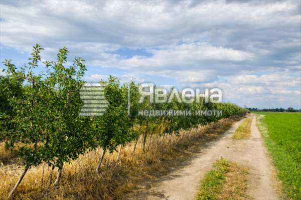 Продава земеделска земя, с. главиница, област пазарджик