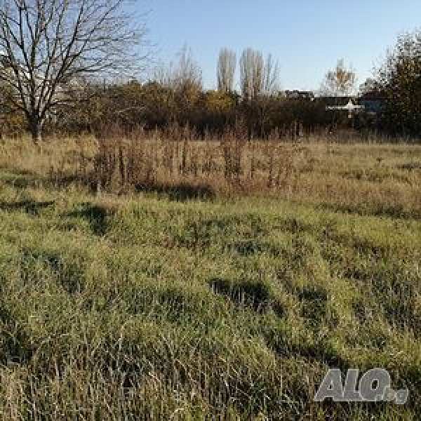Продава  парцел с. Оризаре, област Бургас
      2265 кв.м