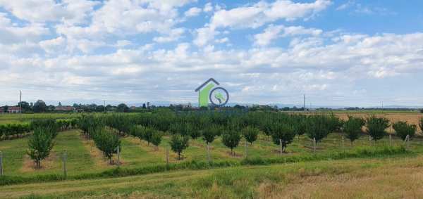 Продава земеделска земя, с. катуница, област пловдив