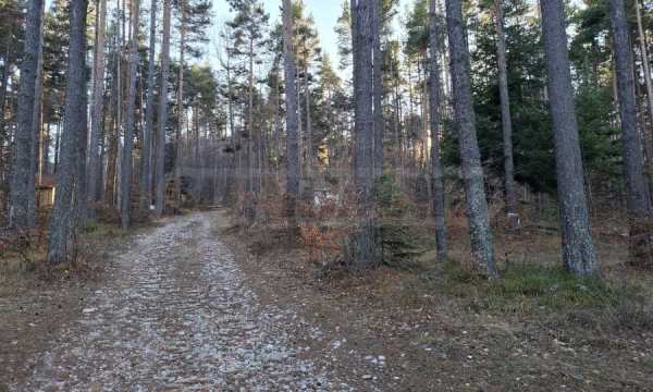 Продава парцел, с. добралък, област пловдив