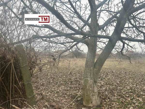 Продава парцел, с. арнаутито, област стара загора