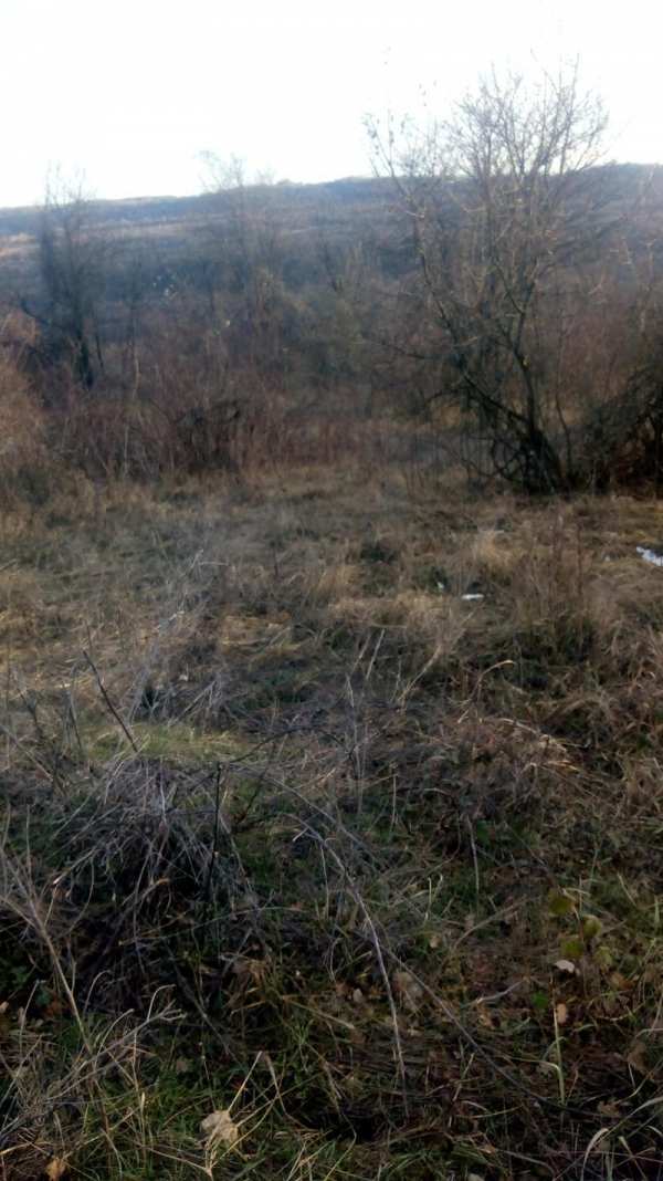 Продава парцел, с. шереметя, област велико търново