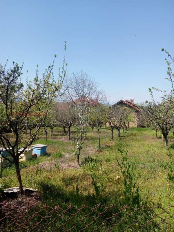 Продава парцел, с. чирен, област враца