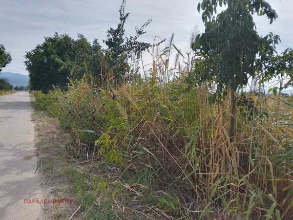 Продава парцел, с. оризари, област пловдив