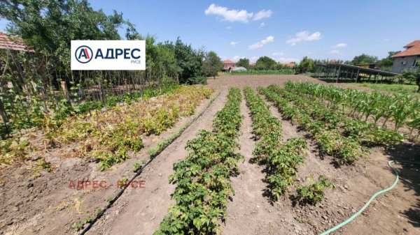 Продава  парцел с. Борисово, област Русе
      1060 кв.м